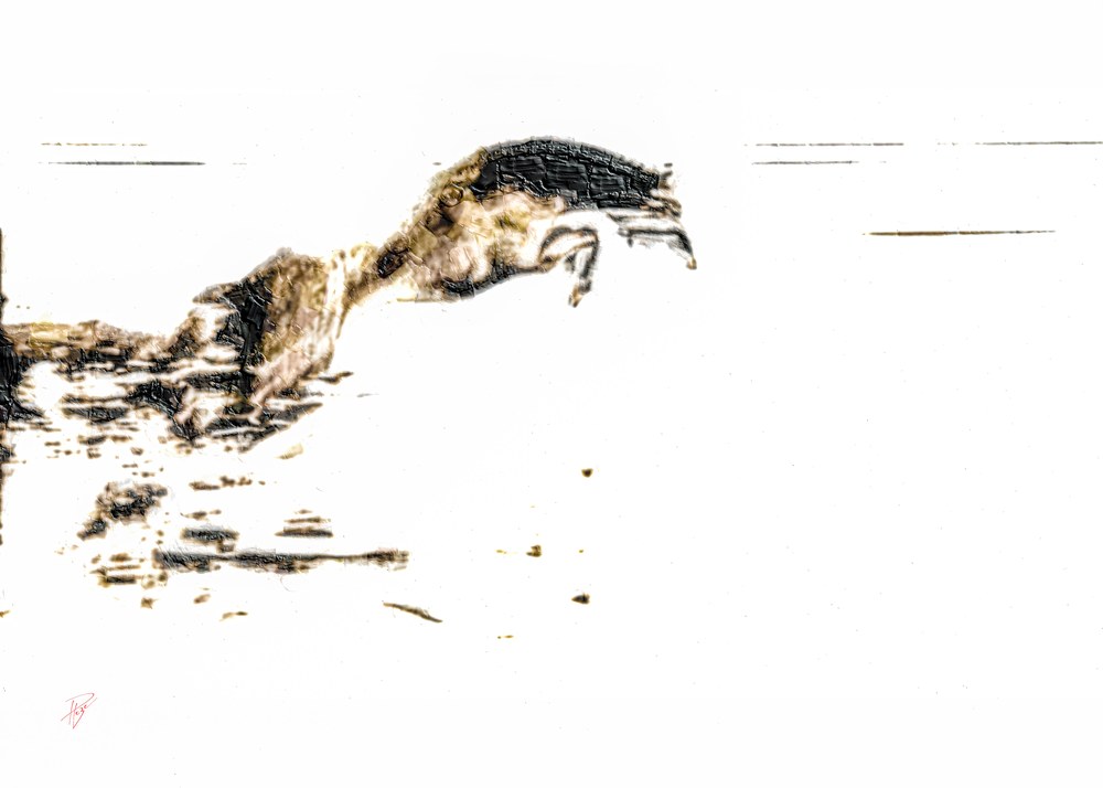 Le cheval fantôme