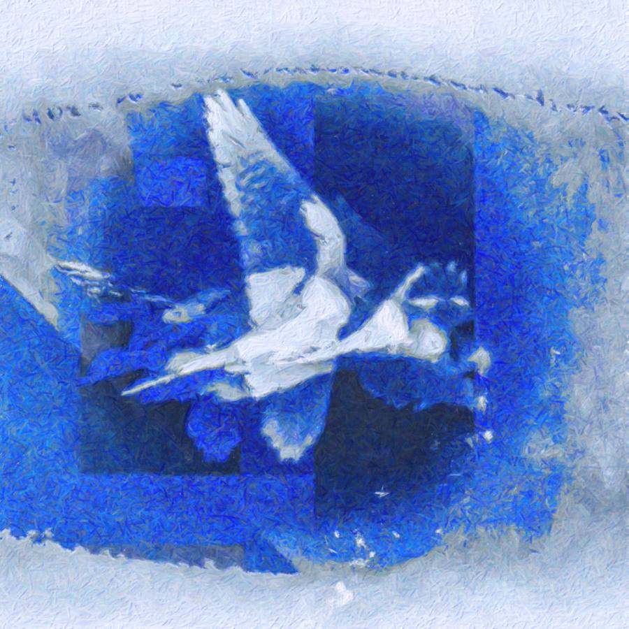 Envol bleu